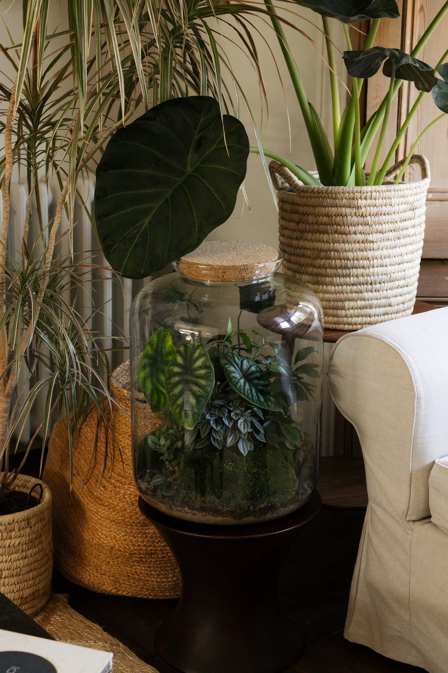 The Grande Terrarium (Tropical) 45x34cm