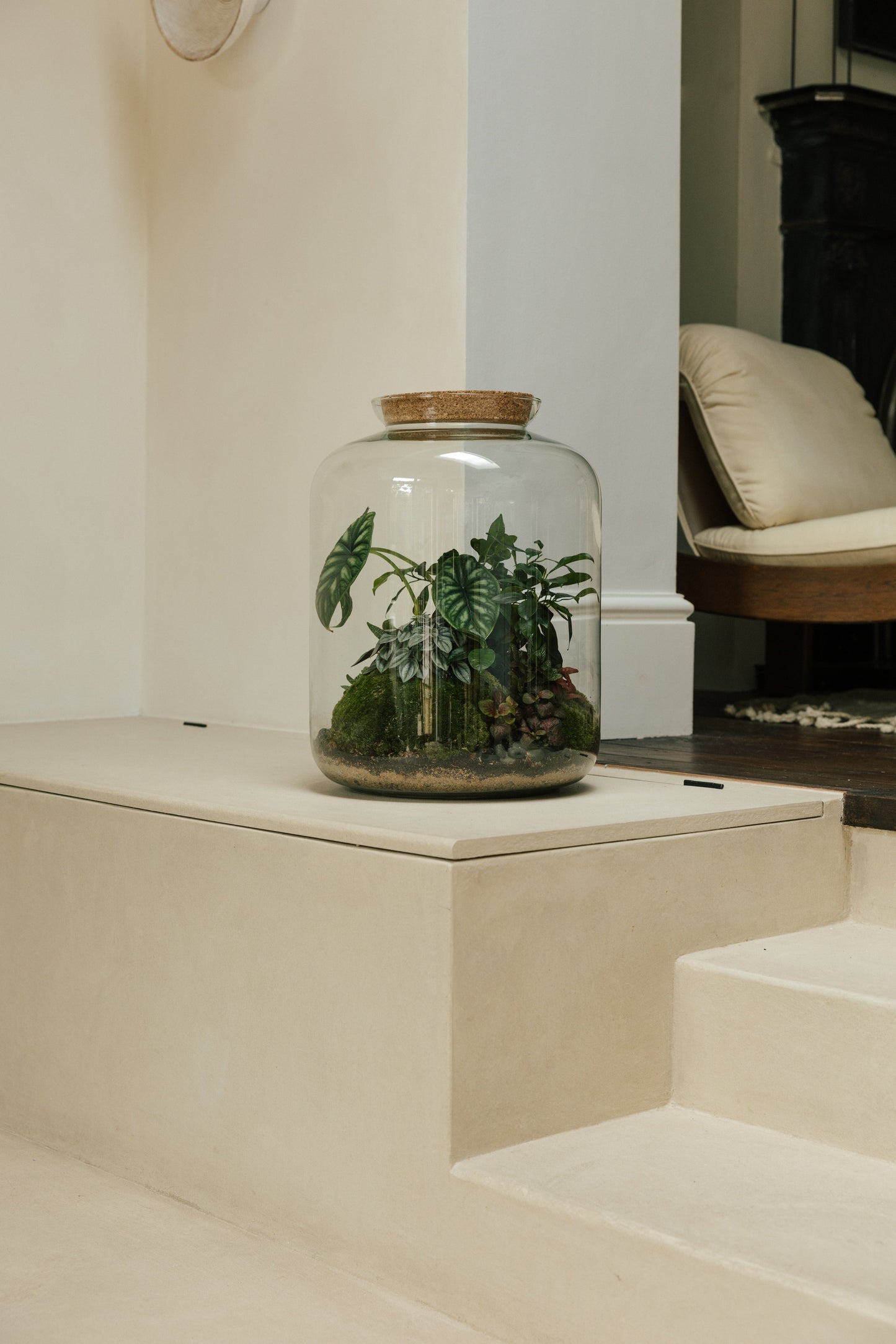 The Grande Terrarium (Tropical) 45x34cm