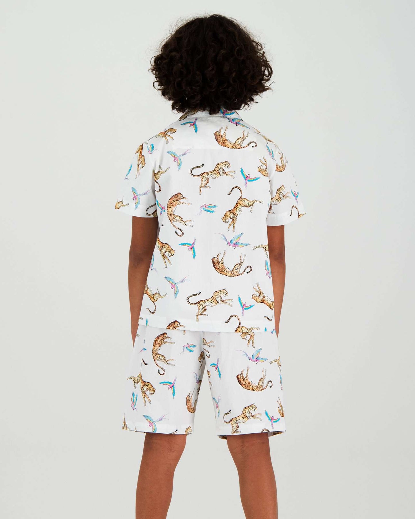 Boys Short Pyjamas - Playing Cheetahs