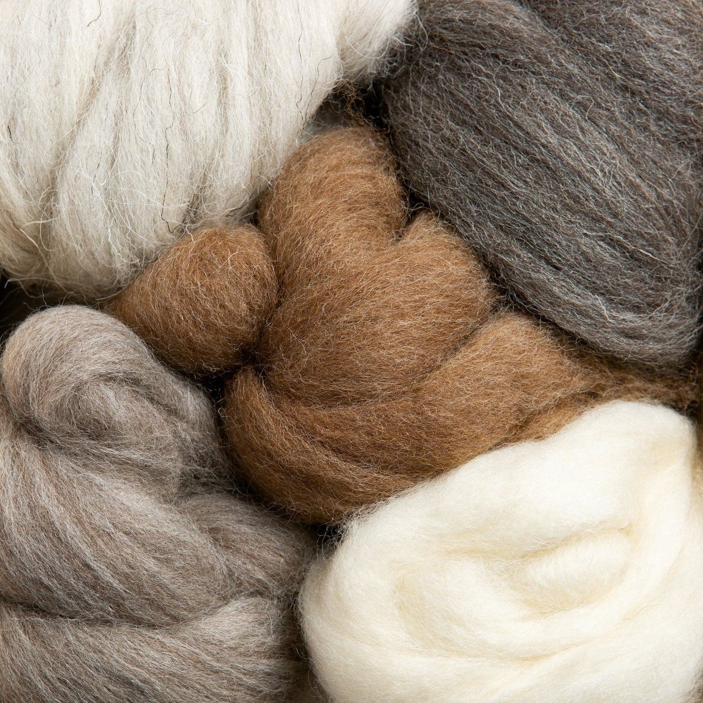 British Breeds Wool Bundle No.1