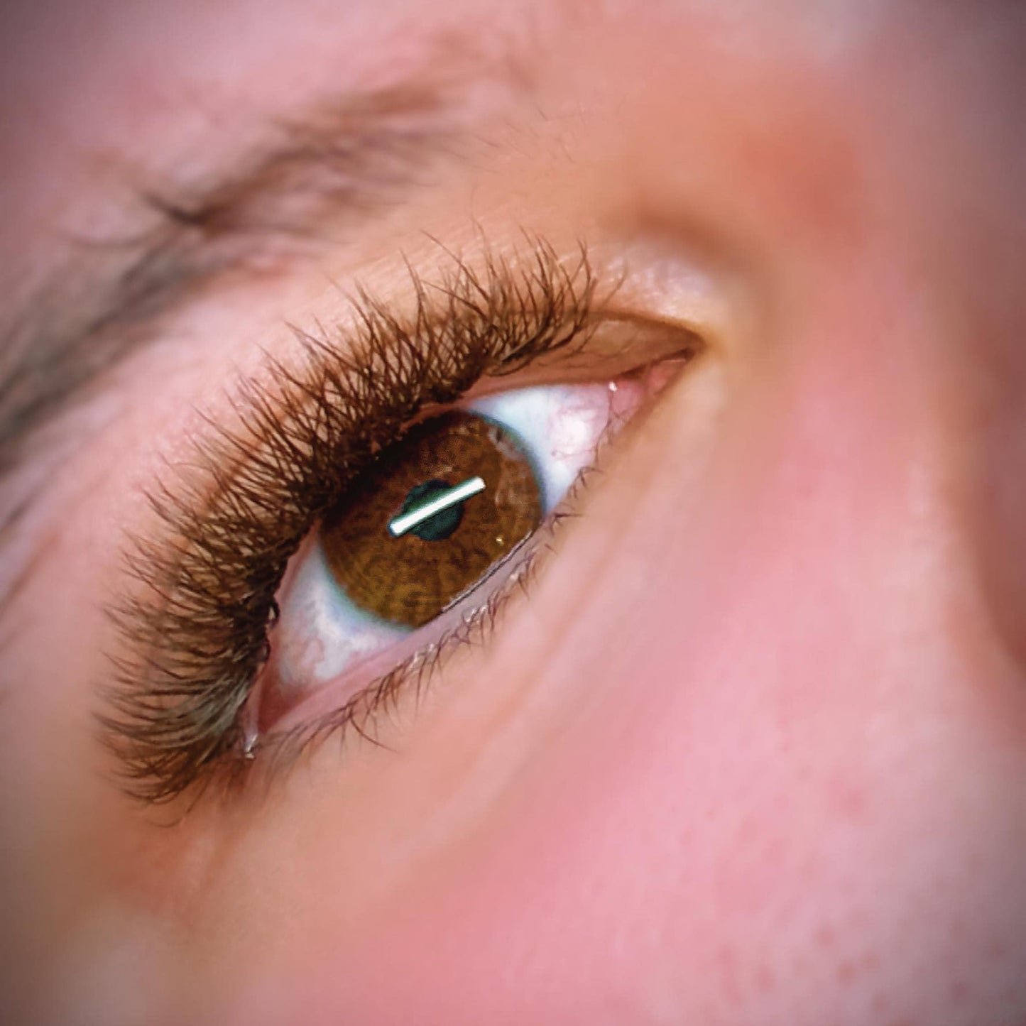 Brown W Lashes – 16 Row Single Length Trays