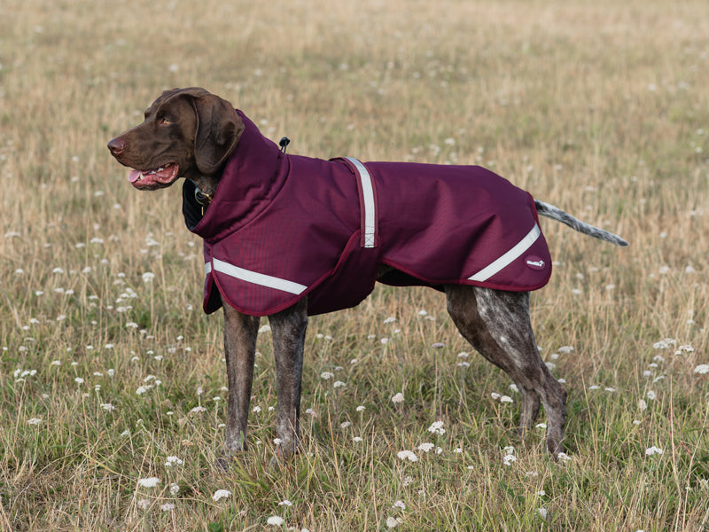 Luxe Waterproof Dog Coat 250g - Burgundy