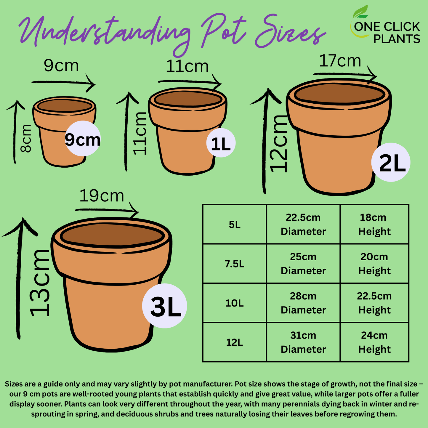 Geum 'Mrs Bradshaw' 9cm/1.5L/3L Pot