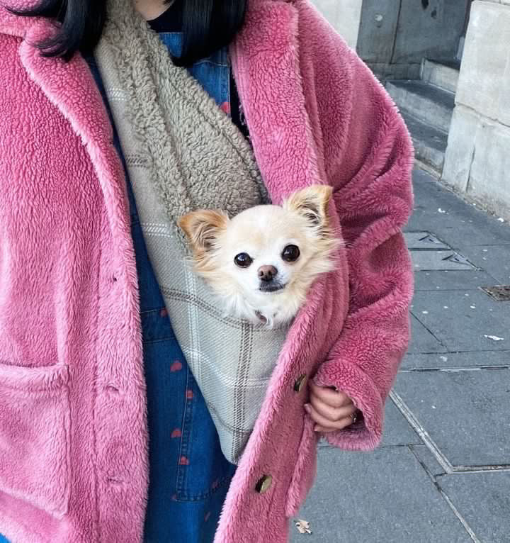 Handcrafted, luxury puppy/small dog carrier/sling - Harris Grey Check - optional personalisation