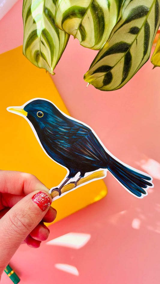 Blackbird Vinyl Sticker- British Wildlife Art Waterproof Sticker