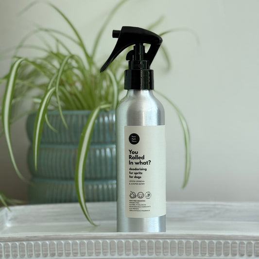 ‘You Rolled in What?’ Deodorising fur-spritz