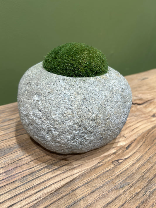 Indo Riverstone planted with Preserved Moss FR67