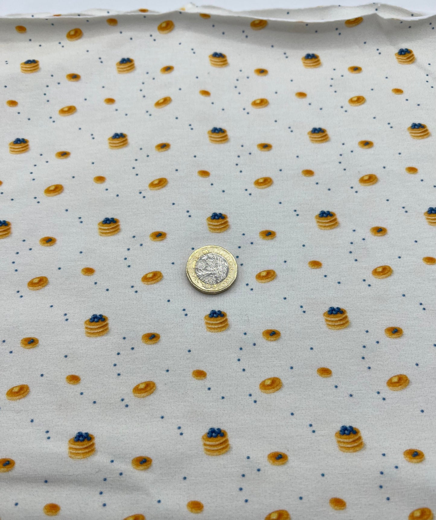 Blueberry Brunch Print Cotton Stretch Jersey 200 GSM 95/5 Lycra 4 Way Stretch