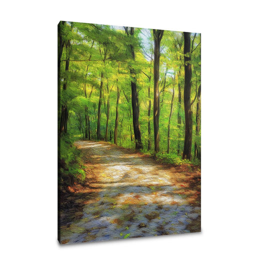 Spring Woodland Awakening Canvas