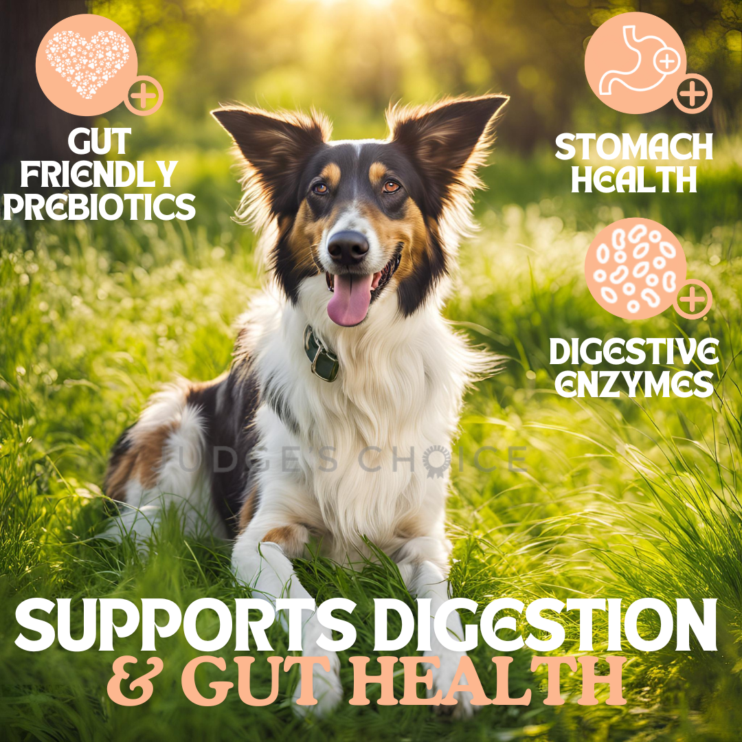 Cold Pressed Chicken & Sweet Potato Dog Food – 3kg