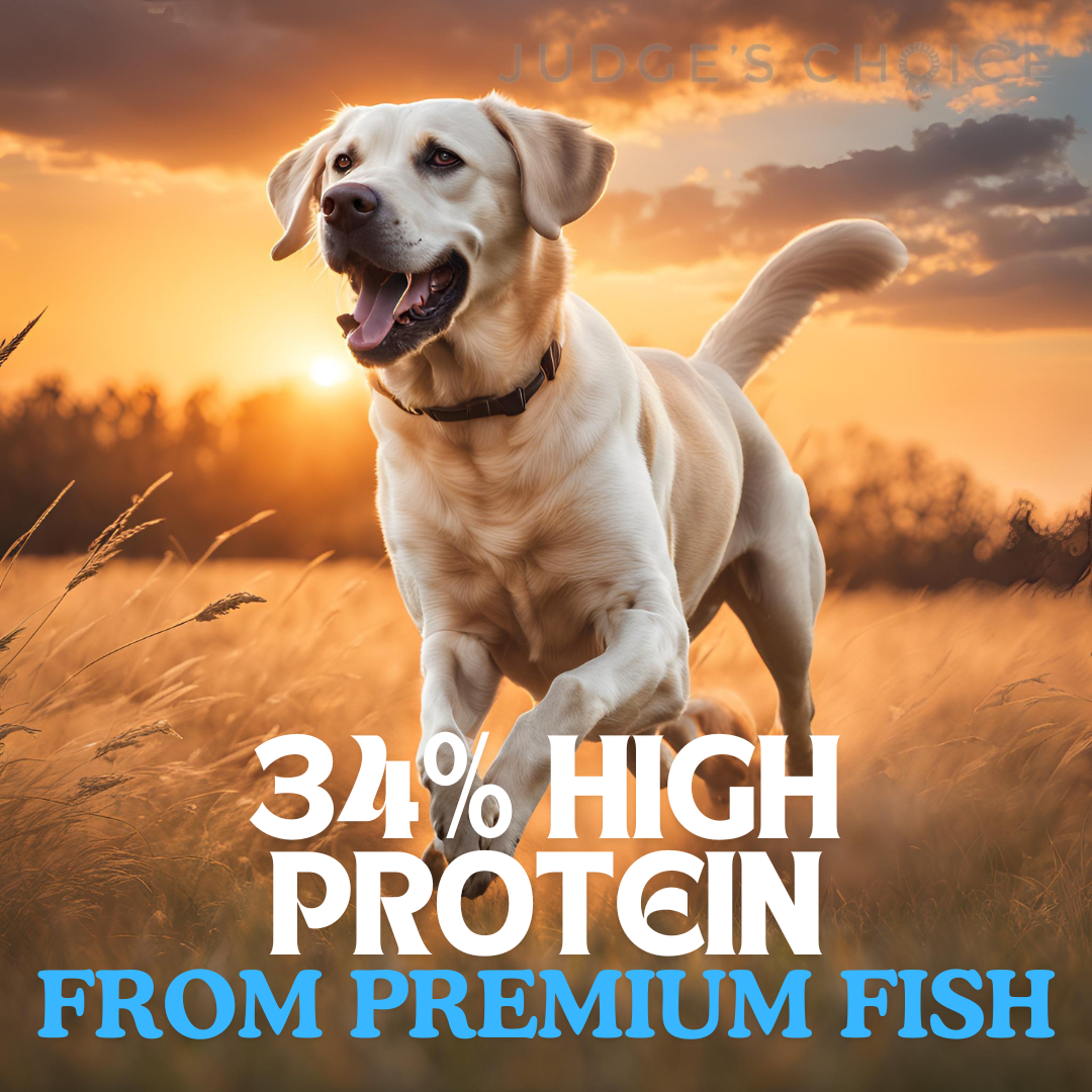 Country Pursuit Cold Pressed Ocean Fish & Sweet Potato - 200g Sample