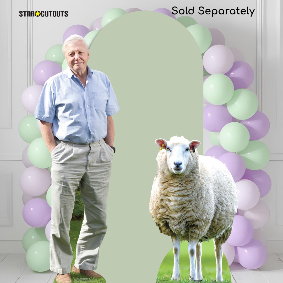 CS774 David Attenborough Height 178cm Lifesize Cardboard Cut Out With Mini