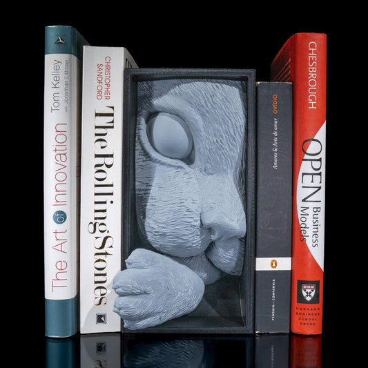 Cat’s Curiosity Book Nook – Whimsical 3D Printed Bookshelf Insert for Cat & Book Lovers