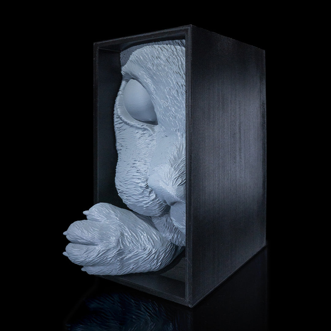 Cat’s Curiosity Book Nook – Whimsical 3D Printed Bookshelf Insert for Cat & Book Lovers