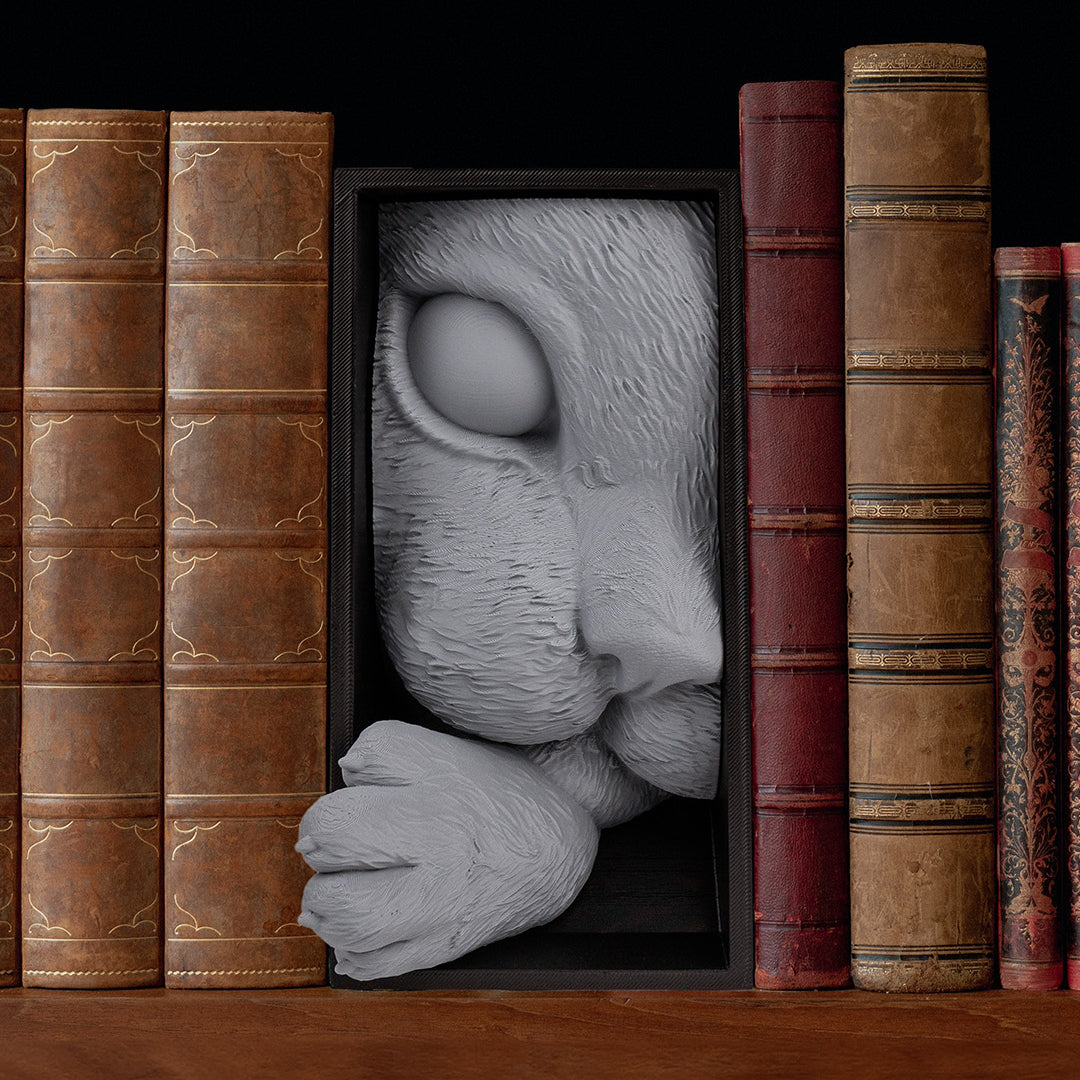 Cat’s Curiosity Book Nook – Whimsical 3D Printed Bookshelf Insert for Cat & Book Lovers