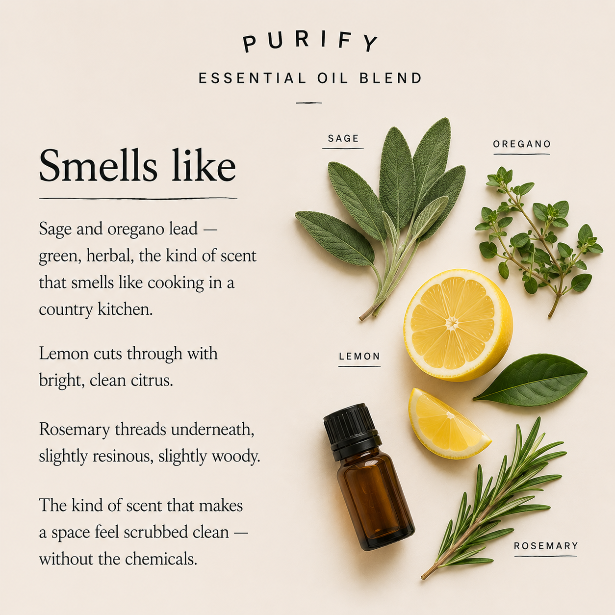Purify Essential Oil Blend
