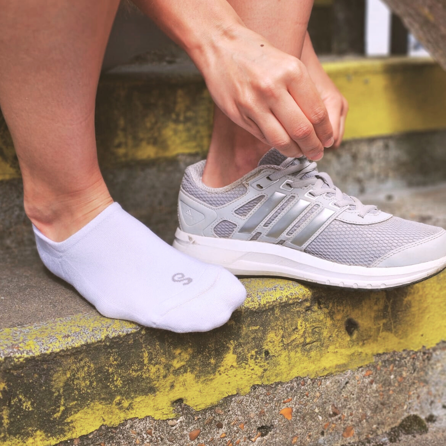 no-show socks - organic combed cotton