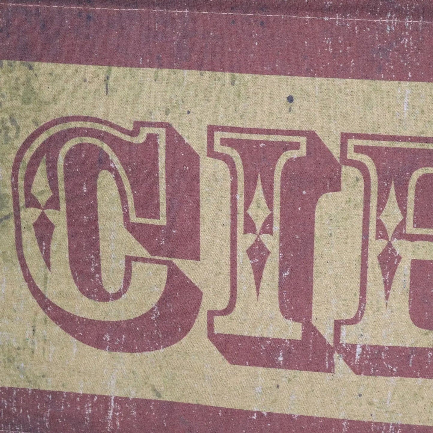 Circus Sign Canvas Wall Art