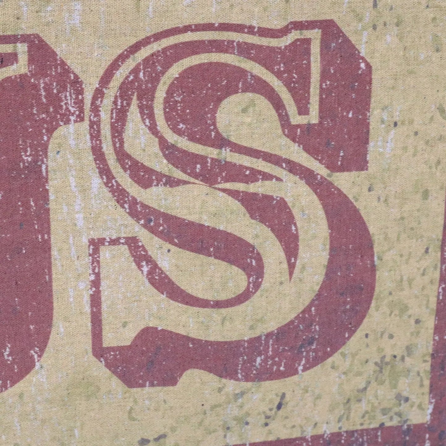 Circus Sign Canvas Wall Art