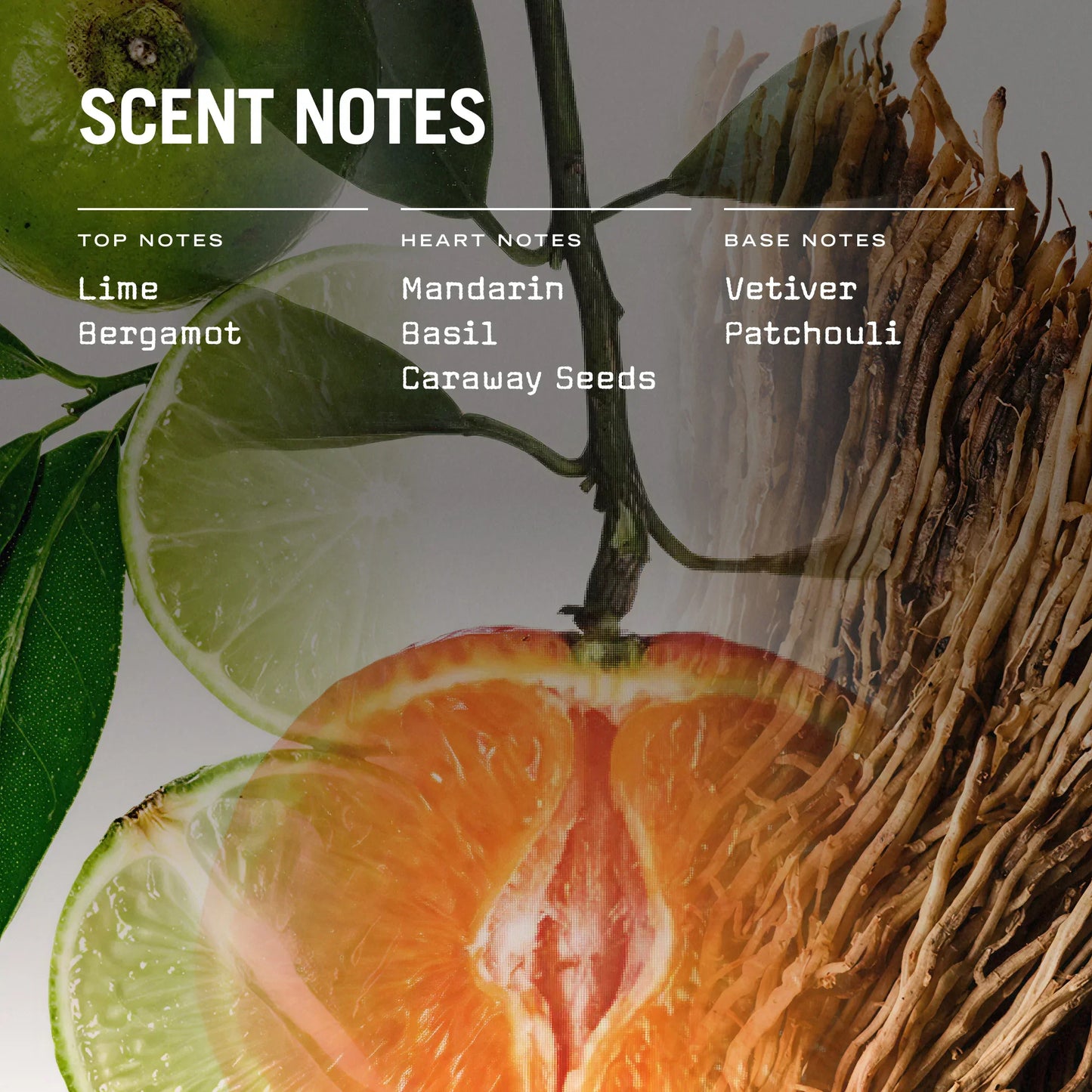 Citrico Reed Diffuser