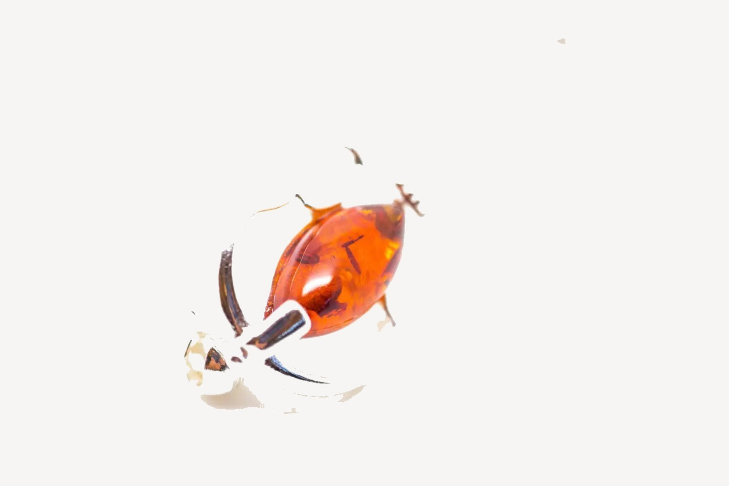 Classic Amber Violin Brooch