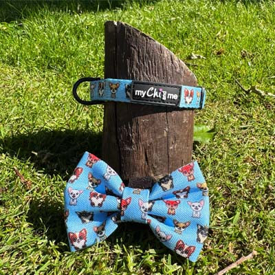 Blue Chihuahua Print Exclusive Designer Bow Tie by My Chi and Me