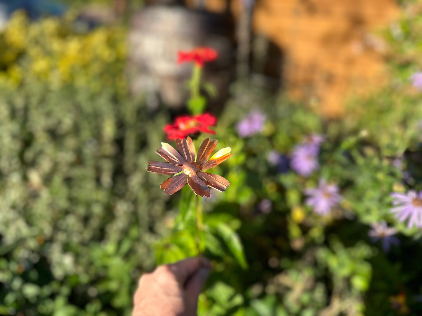 Copper Cosmos Flower