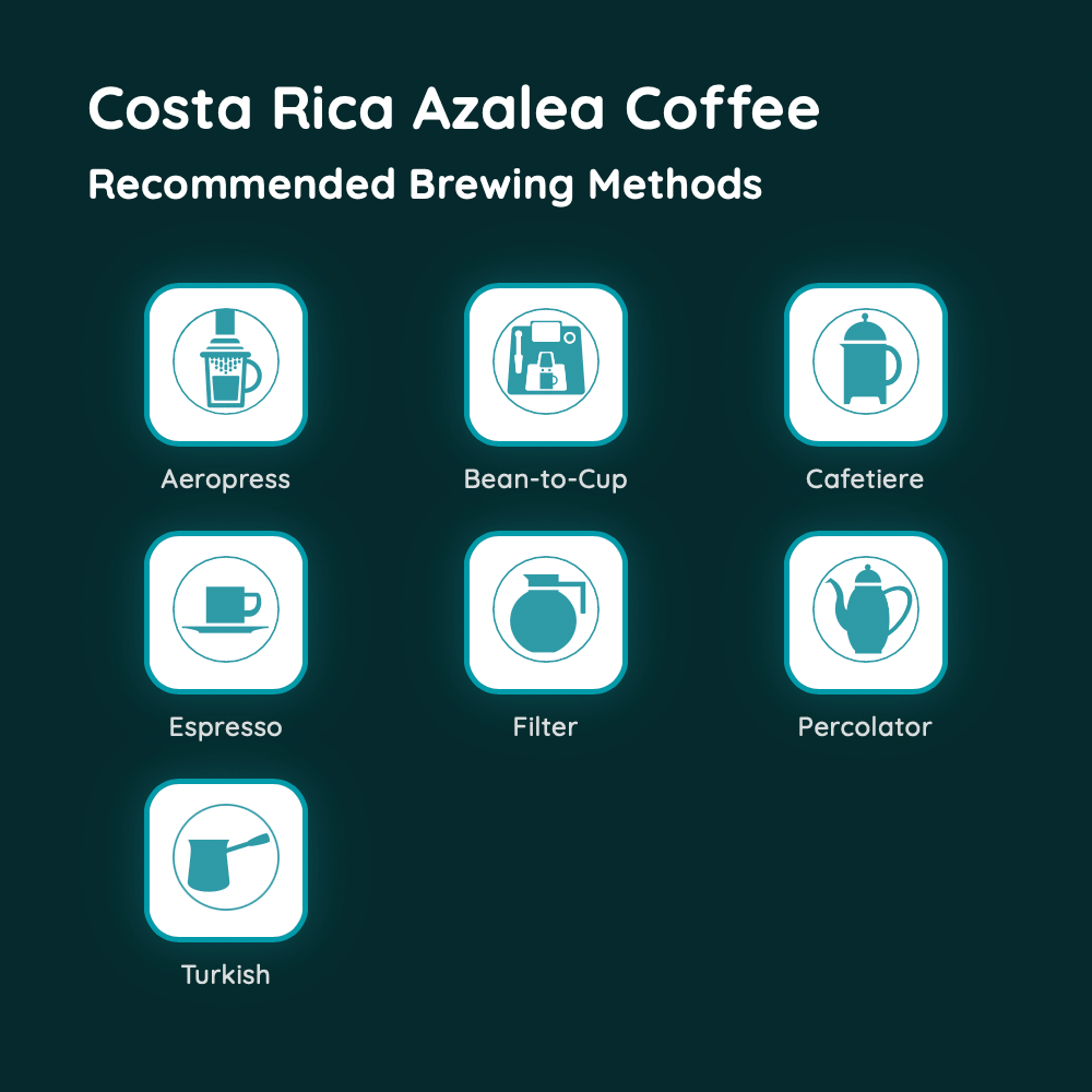 Costa Rica Azalea Coffee