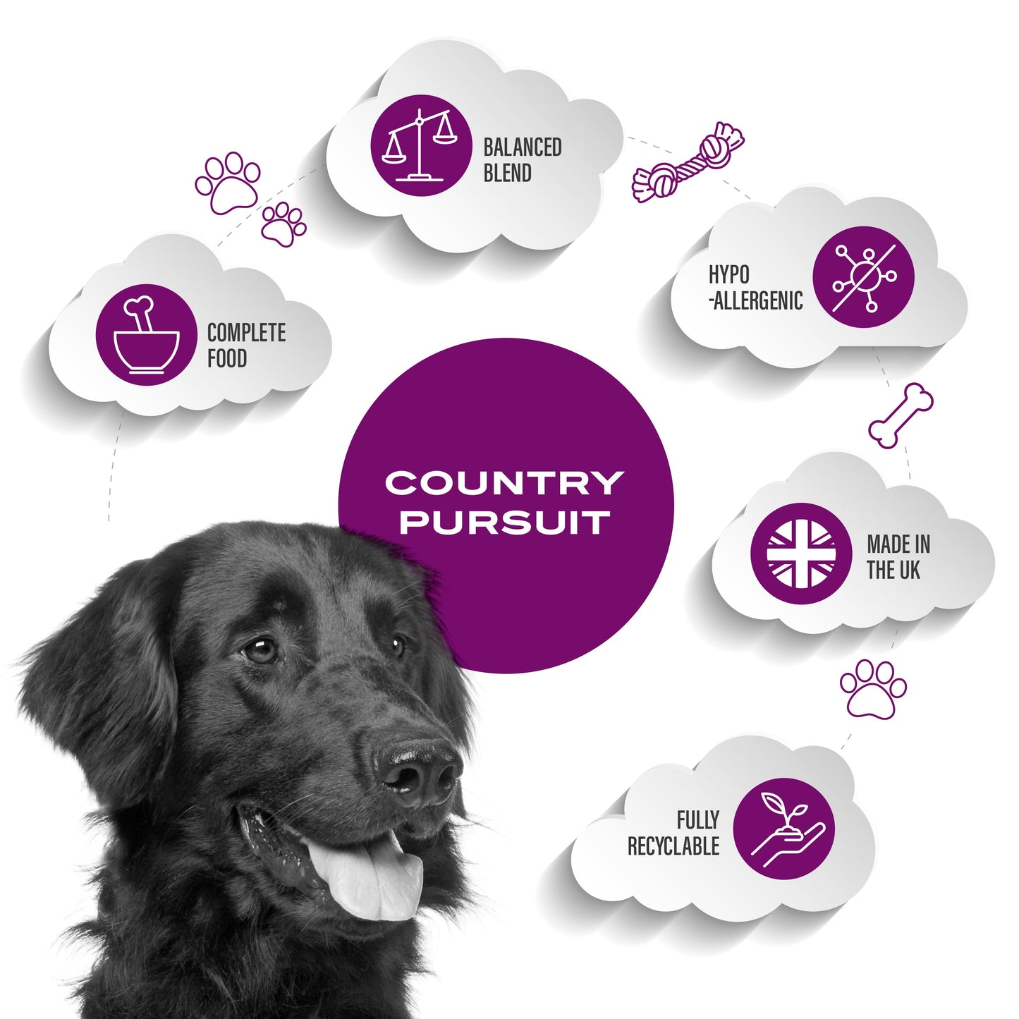 Country Pursuit Lamb, Rice & Tripe - Premium Range