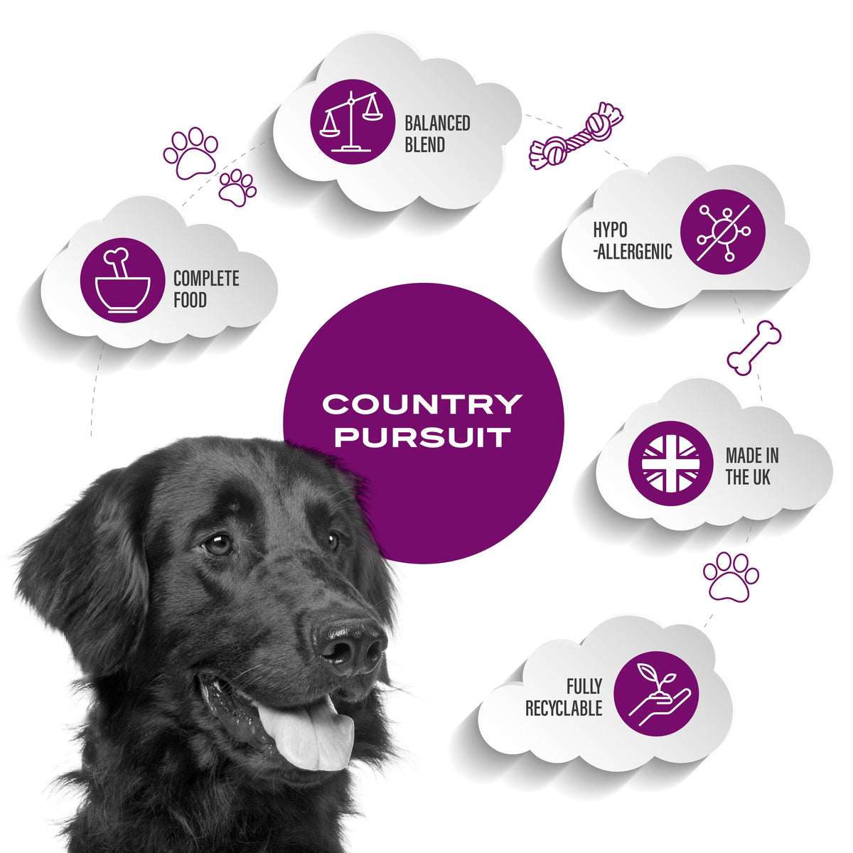 Country Pursuit Premium Lamb, Rice & Tripe - Premium Range - 300g Sample