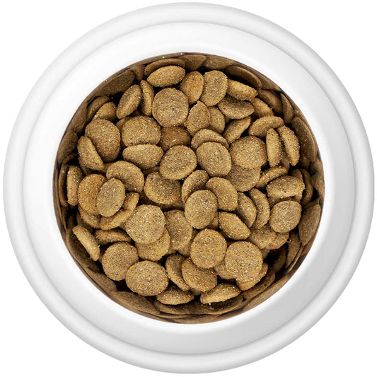 Premium Chicken & Rice Adult Dry Dog Food