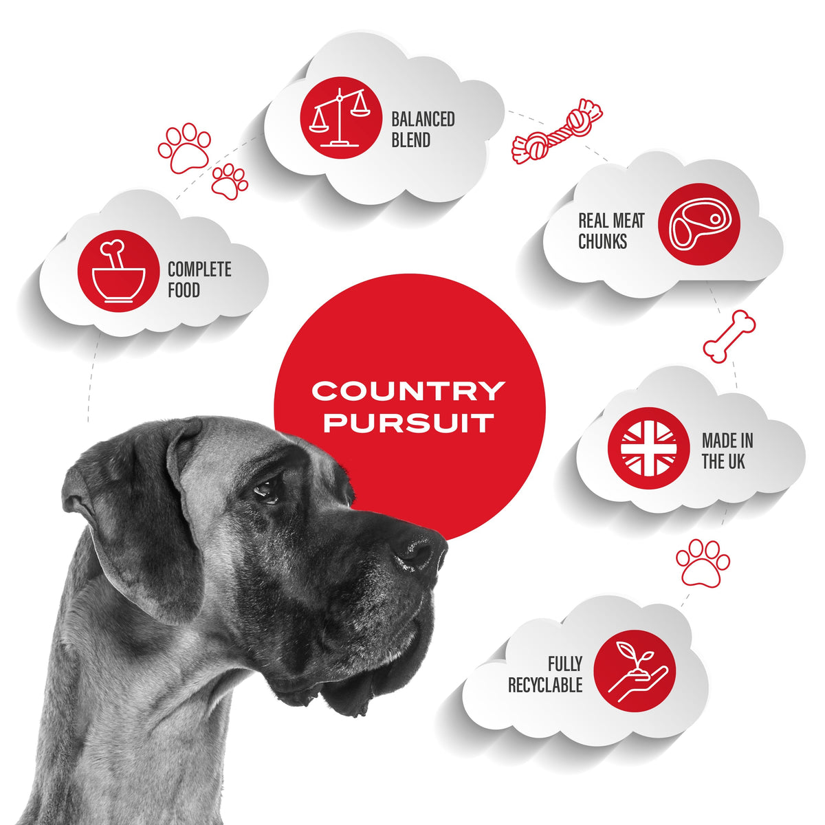 Country Pursuit Energy Blend Muesli Complete Adult Semi-Moist Dog Food 300g Sample