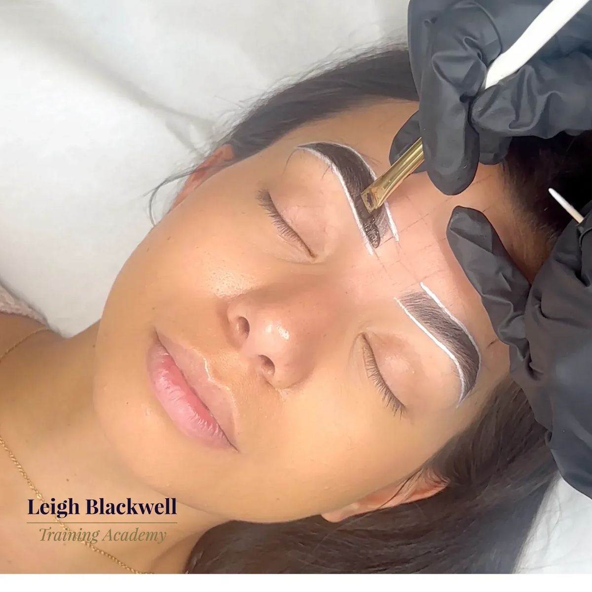 Liquid Brow Stain Course | Advanced Tinting Training