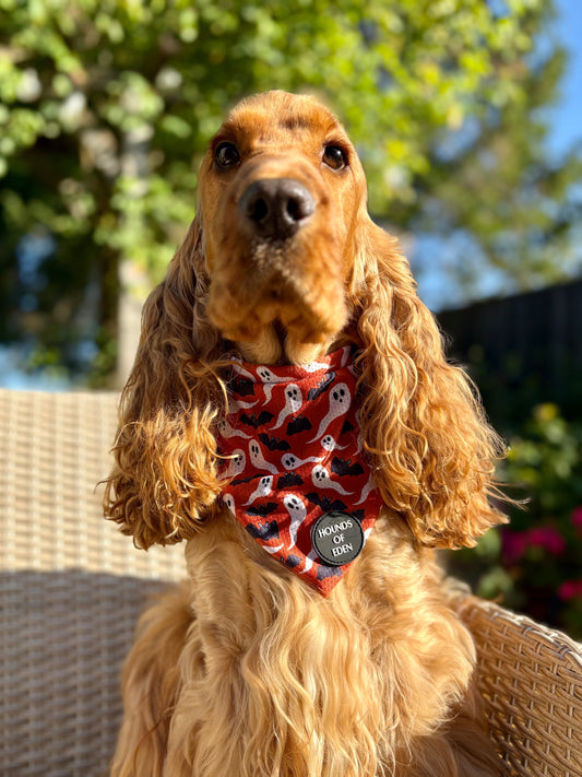 Orange Bats + Ghosts Halloween Dog Bandana 👻