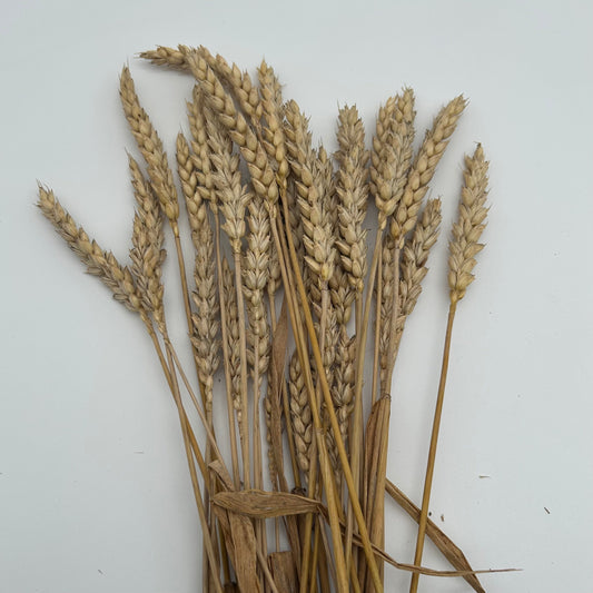Wheat Sprays