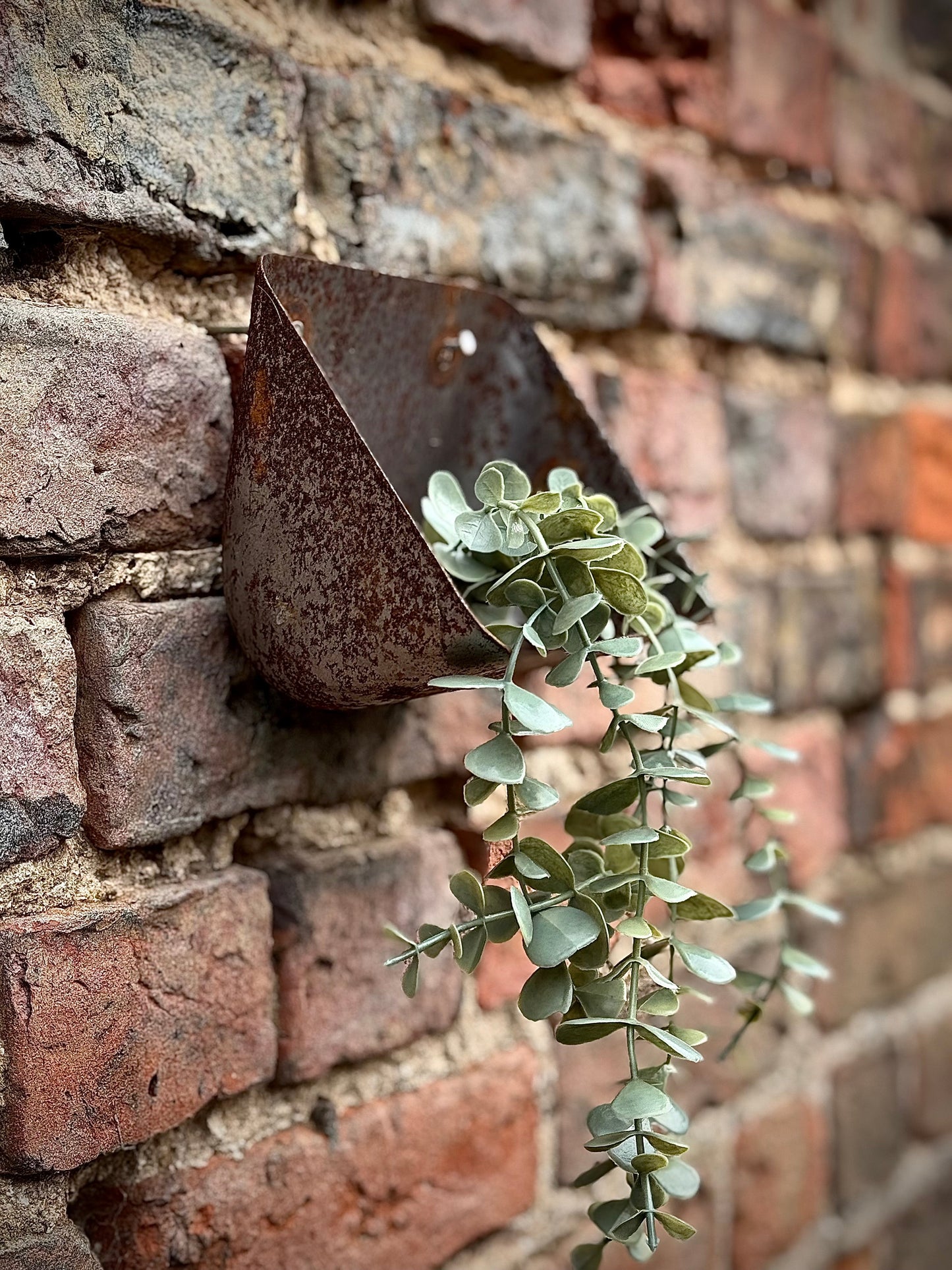 Vintage Rusty Metal Wall Mounted Planter / Herb Planter / Plant Pot / Key Holder