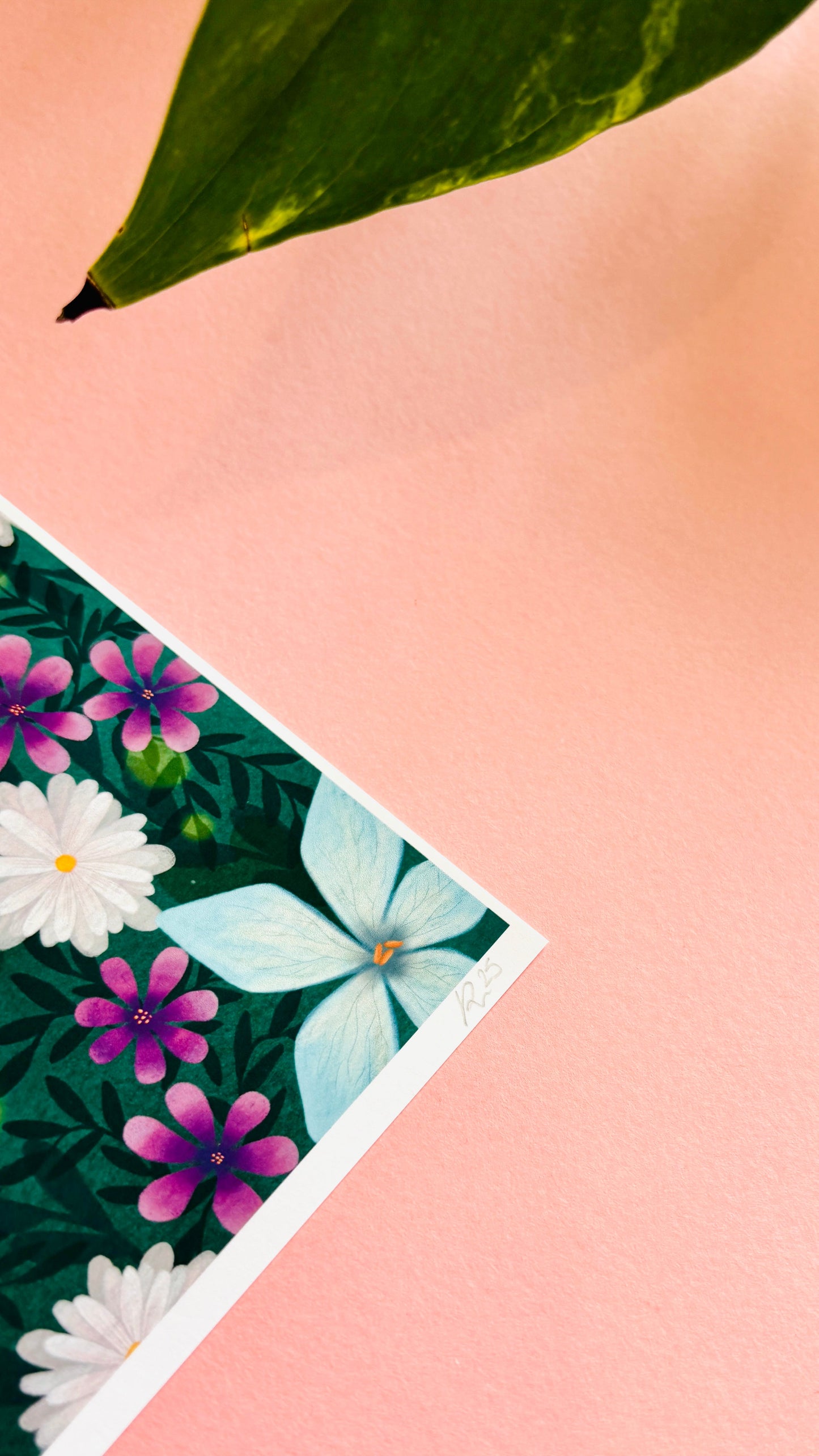 Butterfly and Wildflower Art Print- Multiple Sizes Available