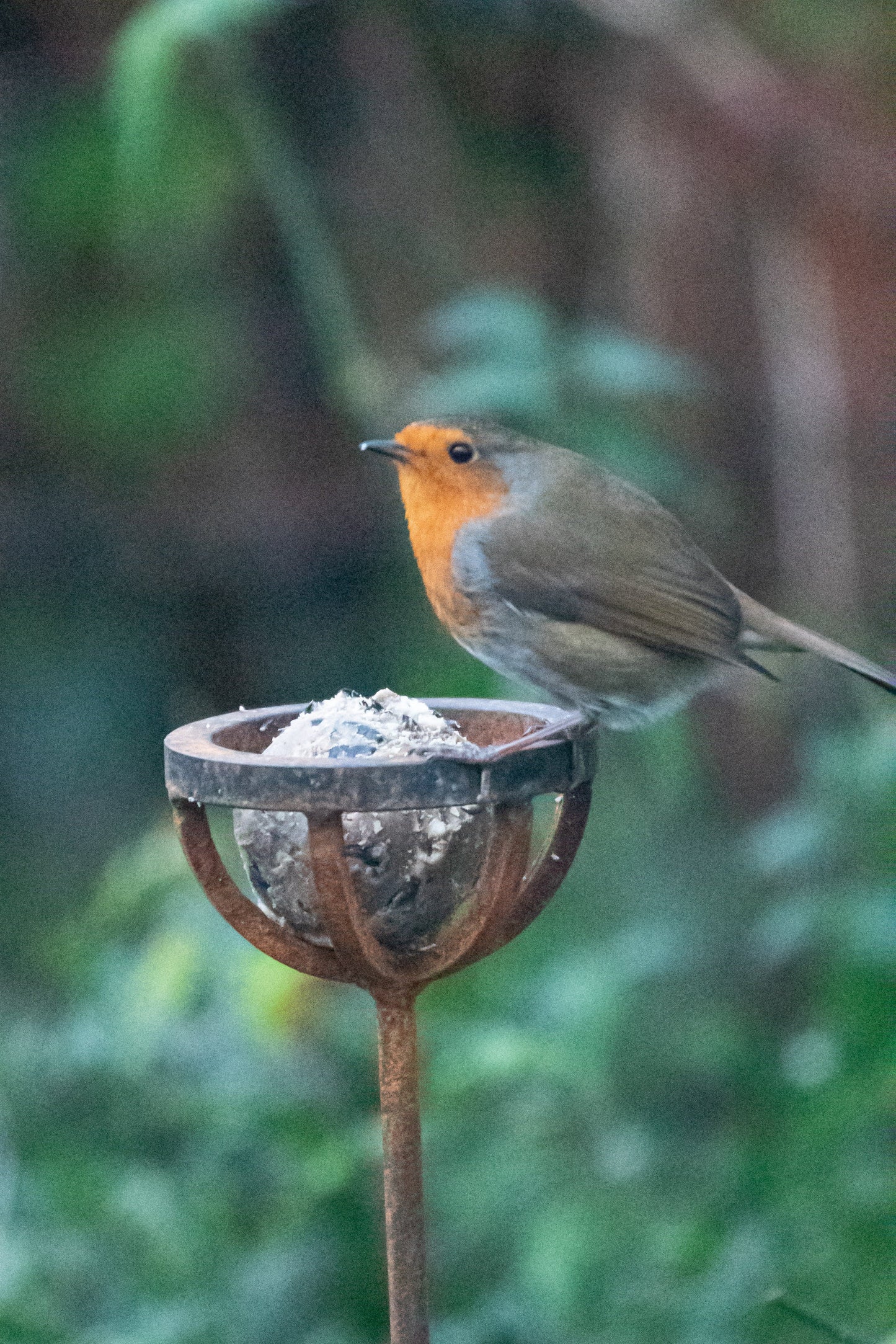 Fat Ball Bird Feeder Stake