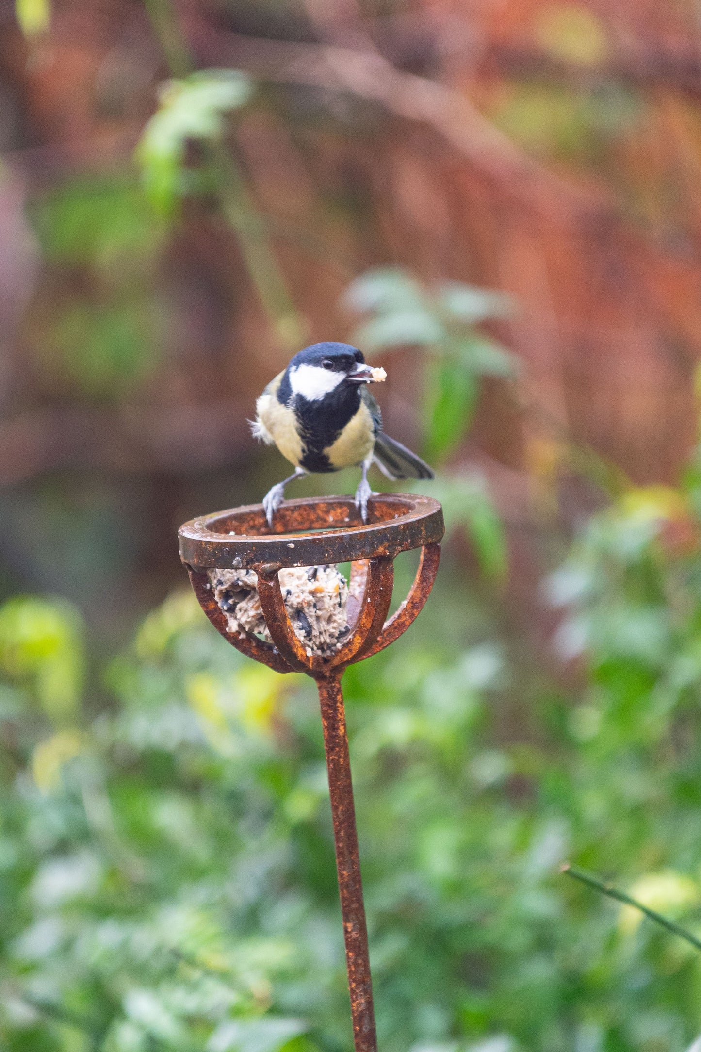 Fat Ball Bird Feeder Stake