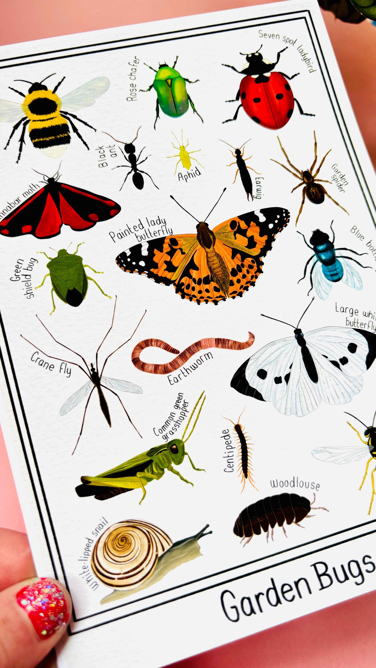 Garden Bug Wall Art Print: Nature Inspired Educational Prints