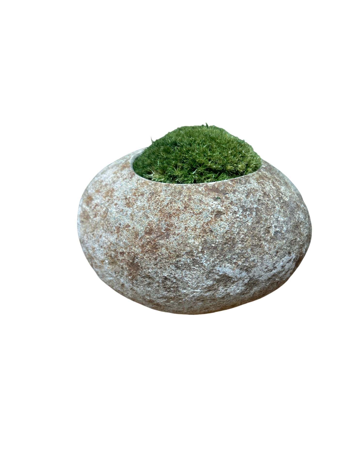 Indo Riverstone planted with Preserved Moss FR70