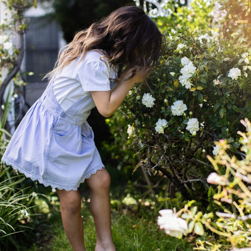DDxNH Lilac Summer Dress