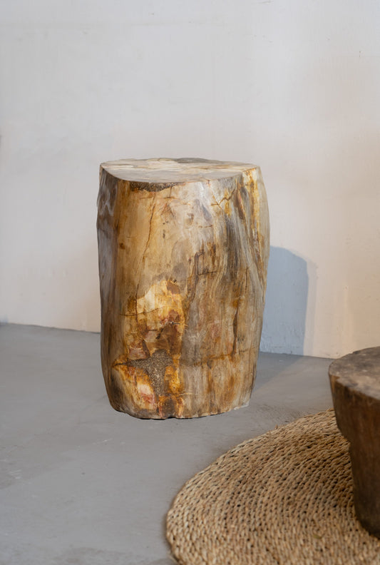 Petrified Wood Side Table \ Stool