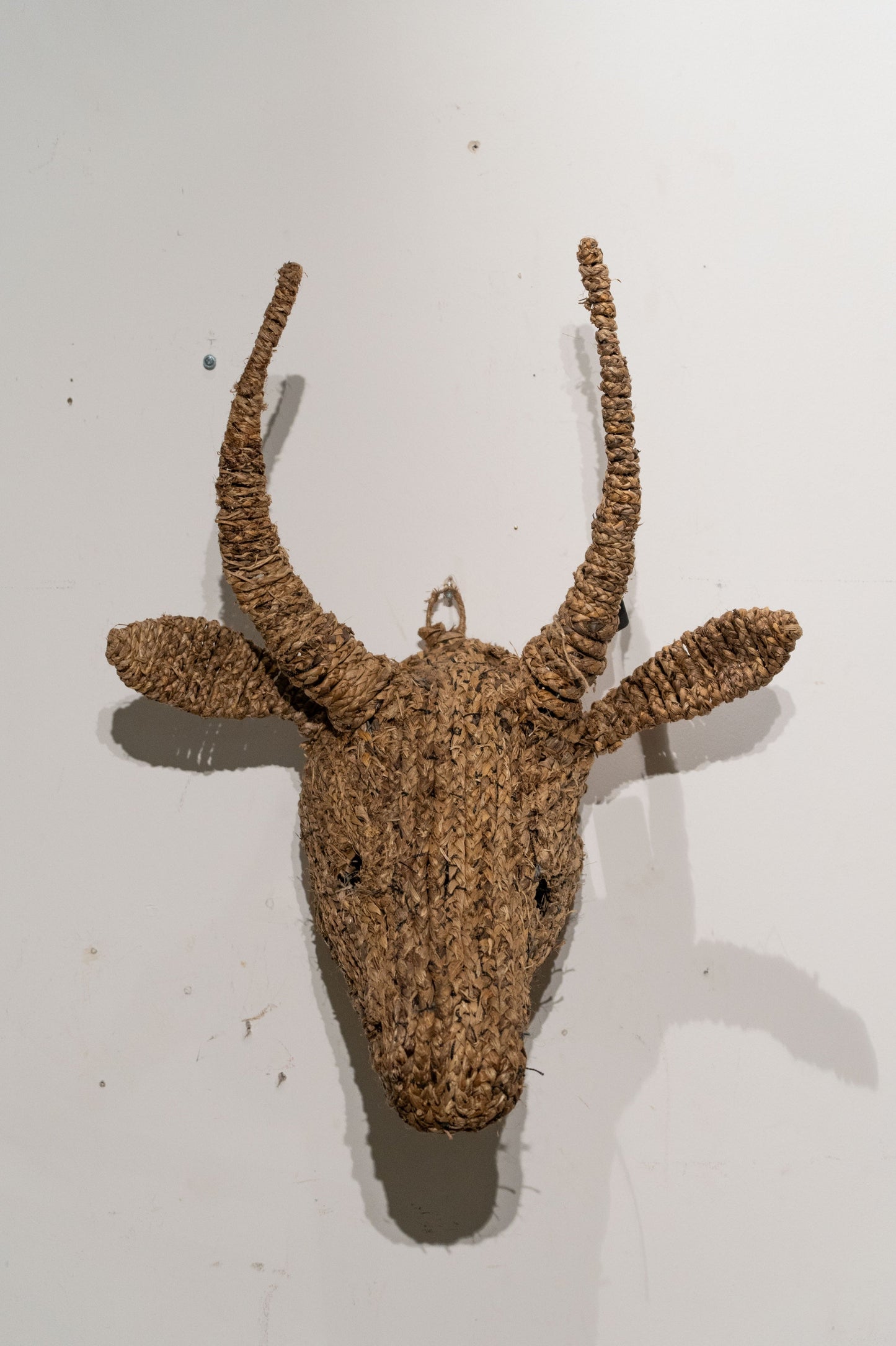 Cow Jude Wall Sculpture