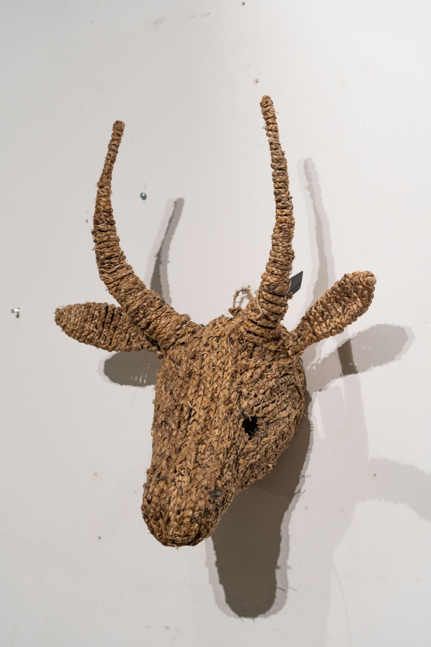 Cow Jude Wall Sculpture