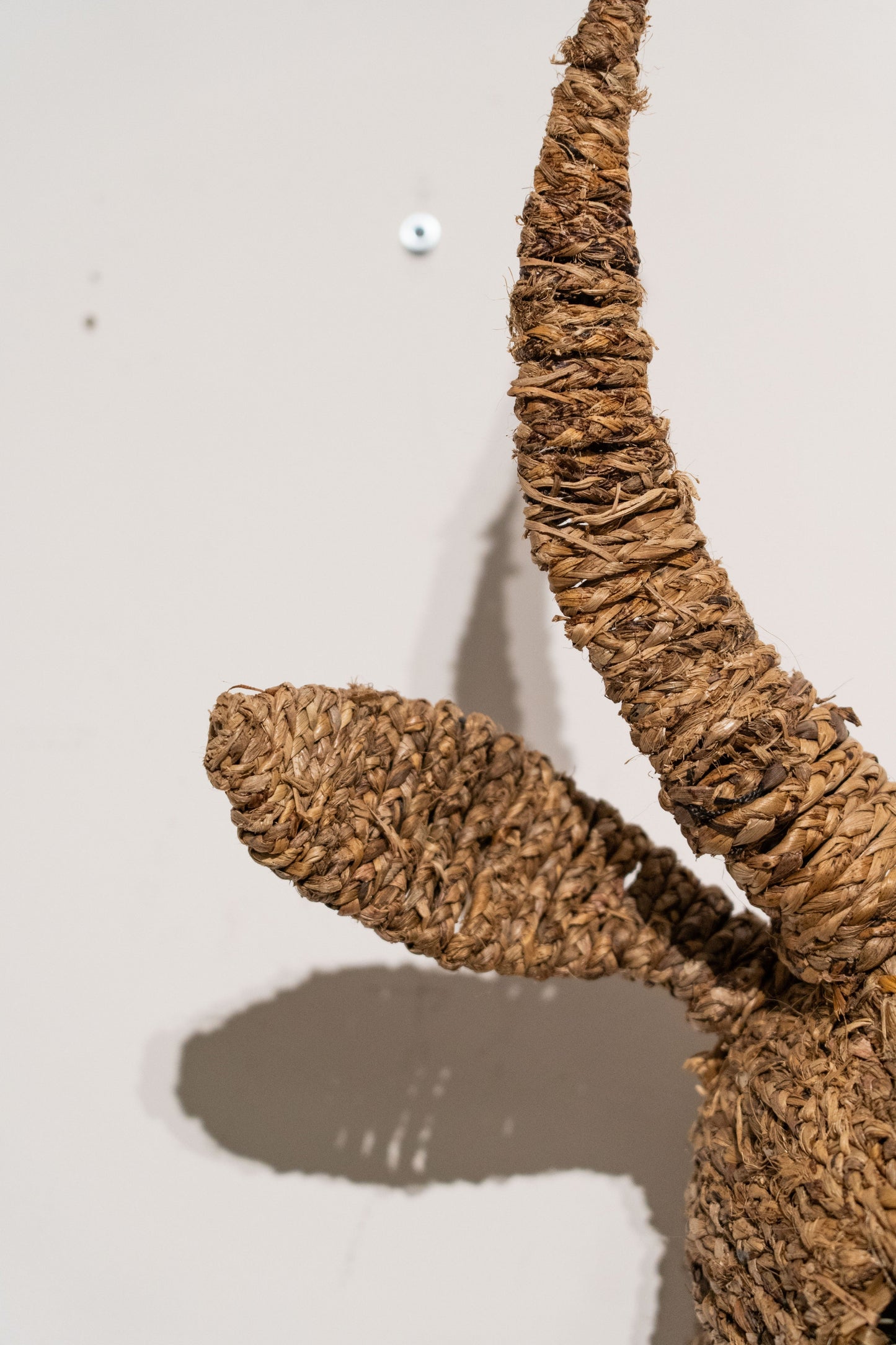 Cow Jude Wall Sculpture