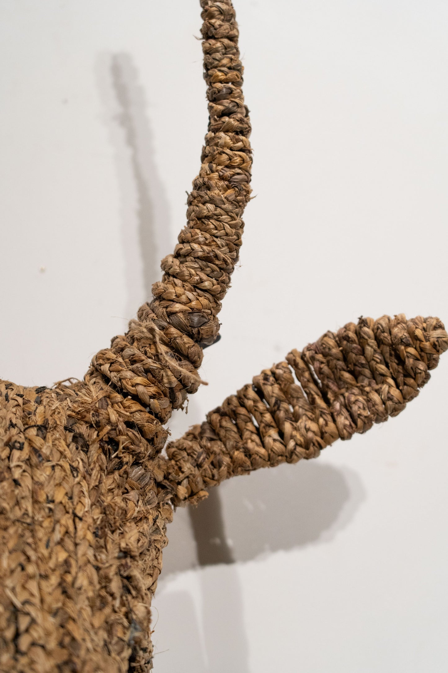 Cow Jude Wall Sculpture