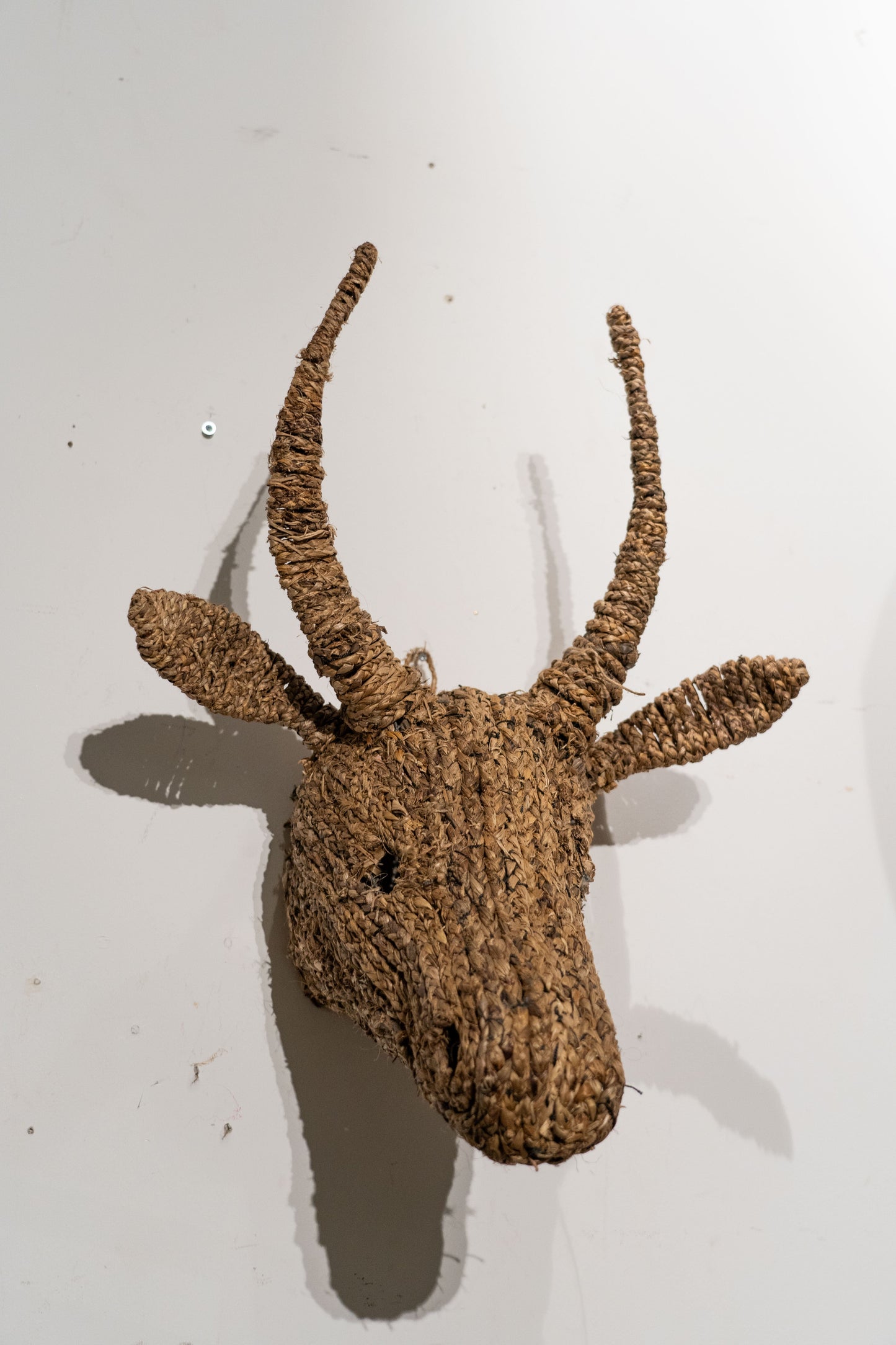 Cow Jude Wall Sculpture