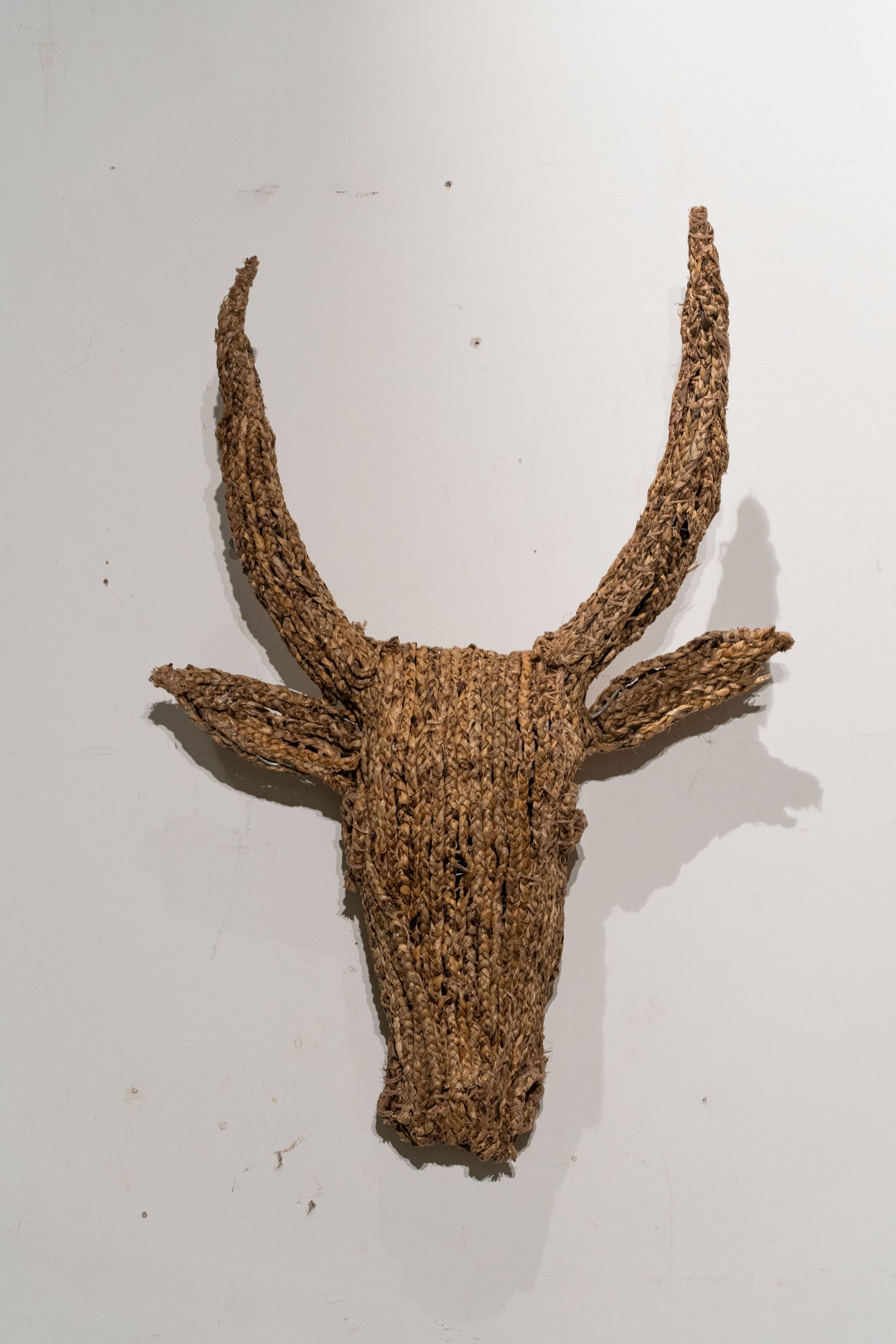Bull Jude Wall Sculpture