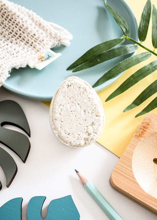 Mint ECO Shampoo bar - Non Soap based hair wash